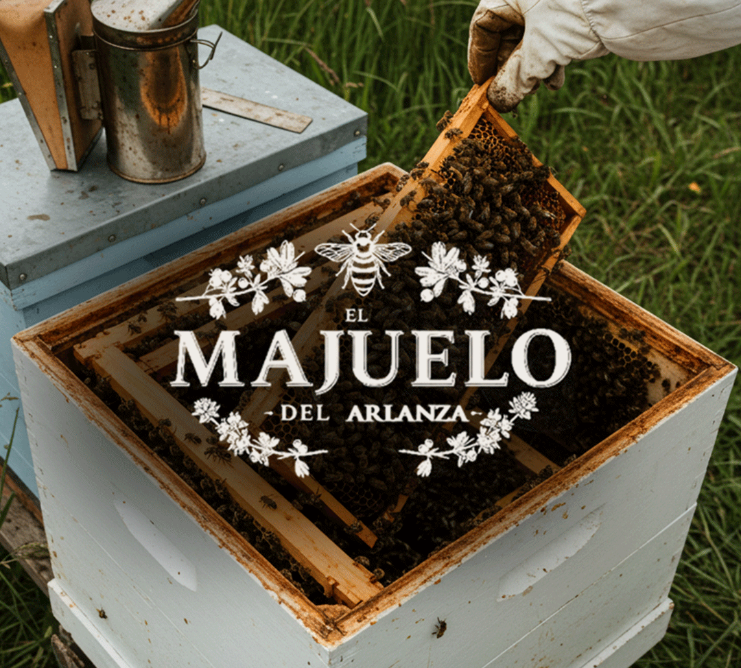 Detalle visual del proyecto Miel Premium realizado por DAROX